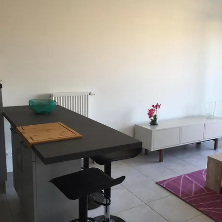 Apartament 2 Pieces Terrasse Garage 5 Mins Les Printemps *